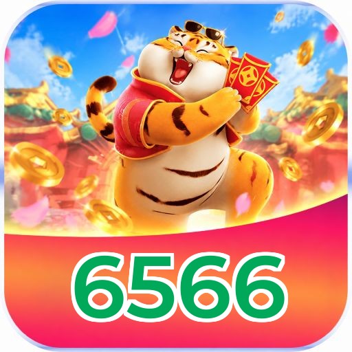 6566